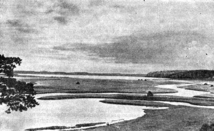 Вид на реку Сороть. Справа - роща Михайловского. Фотография