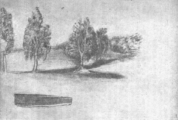 Место дуэли Пушкина . Слева приклеен кусок коры от березы, росшей на месте дуэли. Рисунок И. Криницкого, 1850-е годы
