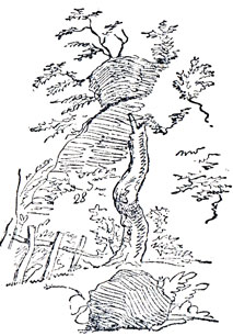 Скала с деревьями. Рисунок Пушкина. 1827