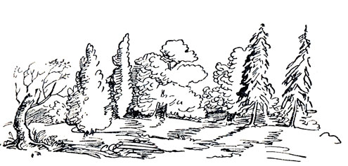 Лесной пейзаж. Рисунок Пушкина. 1833